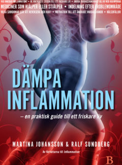 Dämpa inflammation – en praktisk guide till ett friskare liv